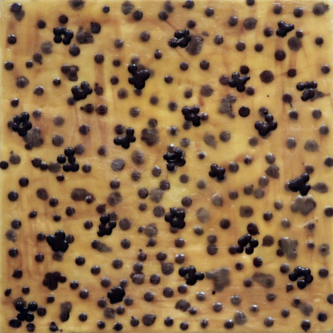 Cluster, Nicole Collins, 1998