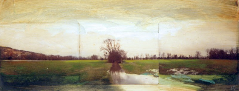 David Bierk, Giverney Trees to Monet, 1989, painted photomontage, 6.5" x 15.5"