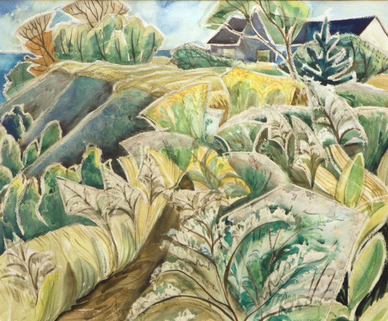 Doris McCarthy Asters in the Fields at Fool's Paradise, 1953, watercolour